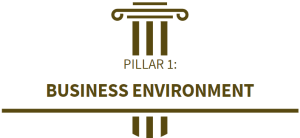 Pillar 1: Business Environment